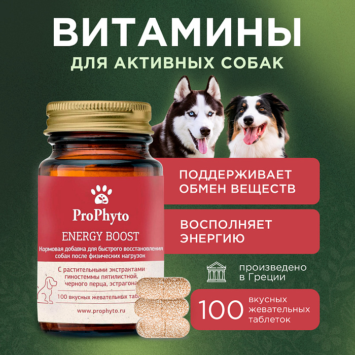 ProPhyto Энерджи Буст,100 таблеток