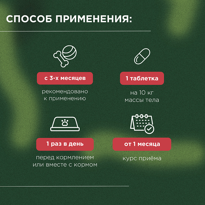 ProPhyto Энерджи Буст,100 таблеток