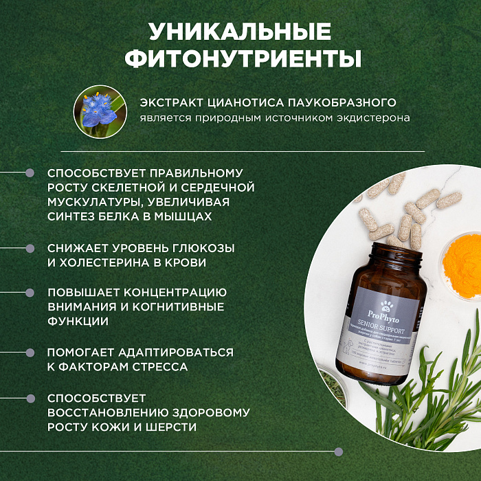 ProPhyto Сеньор Саппорт, 30 таблеток