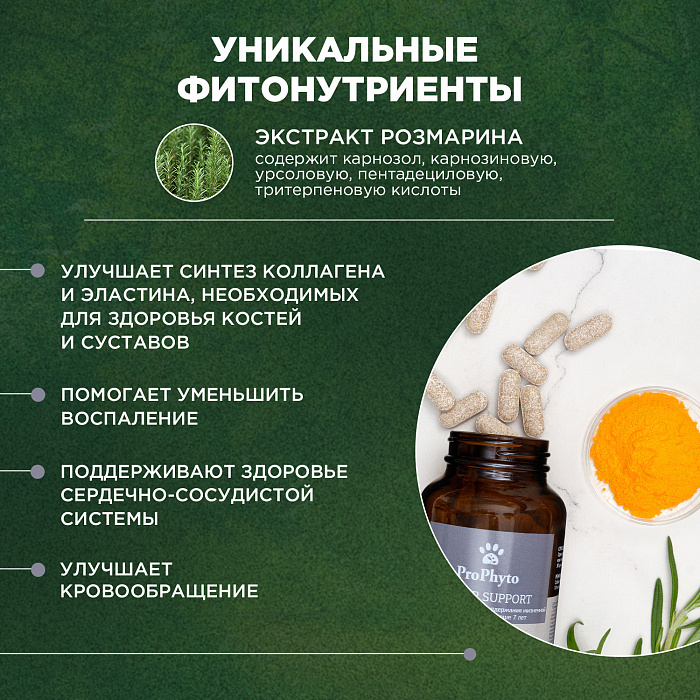 ProPhyto Сеньор Саппорт, 100 таблеток