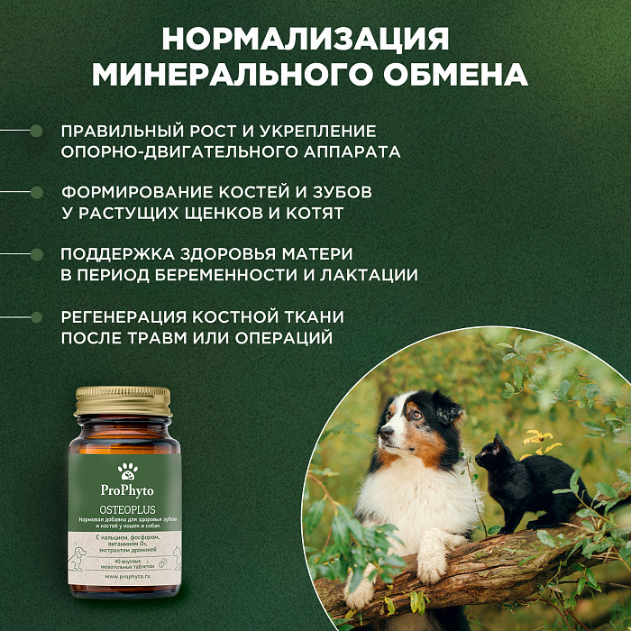 ProPhyto Остеоплюс, 40 таблеток