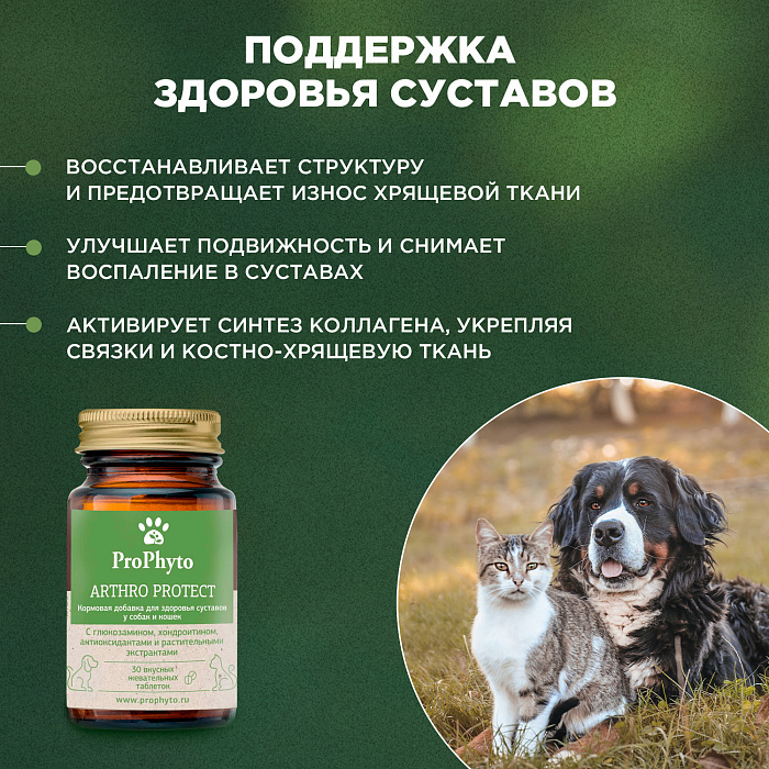 ProPhyto Артро Защита, 30 таблеток