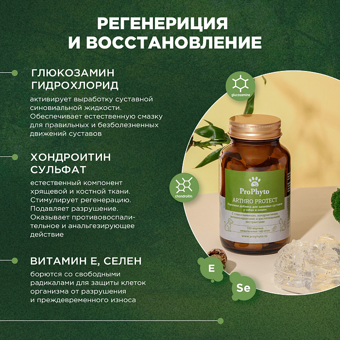 ProPhyto Артро Защита, 100 таблеток