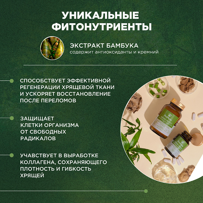 ProPhyto Артро Защита, 100 таблеток
