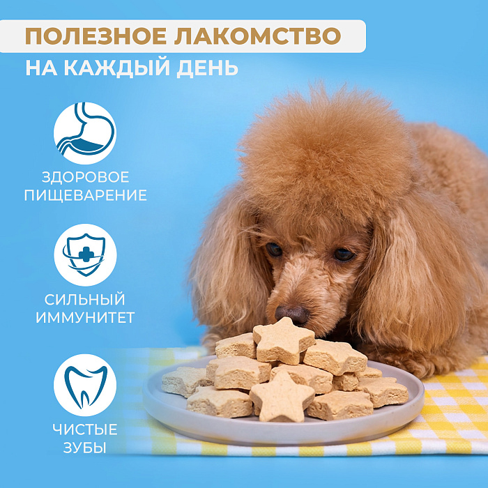 Лакомство Ranova для собак сублимированное Звёздочка для зубов с курицей и хурмой, 45 г