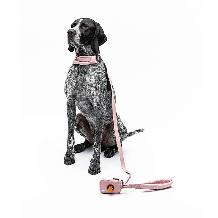 Ошейник United Pets с мягкой подкладкой для собак Citylife M 20 x 35-50 см пыльная роза