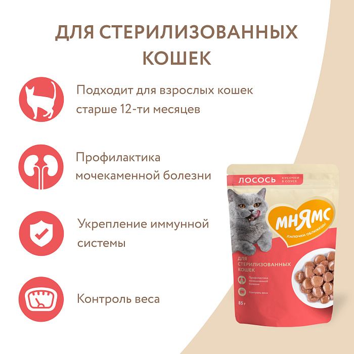 Влажный корм Мнямс На каждый день Кусочки в соусе с лососем для стерилизованных кошек 85 г