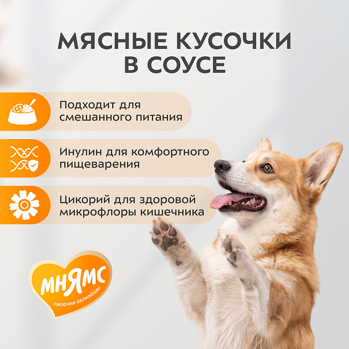 Влажный корм Мнямс На каждый день Кусочки в соусе с индейкой для собак всех пород «КОМФОРТНОЕ ПИЩЕВАРЕНИЕ", 400 г