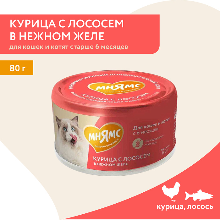 Влажный дополнительный корм Мнямс На каждый день для кошек и котят старше 6 месяцев "курица с лососем в нежном желе" 80 г