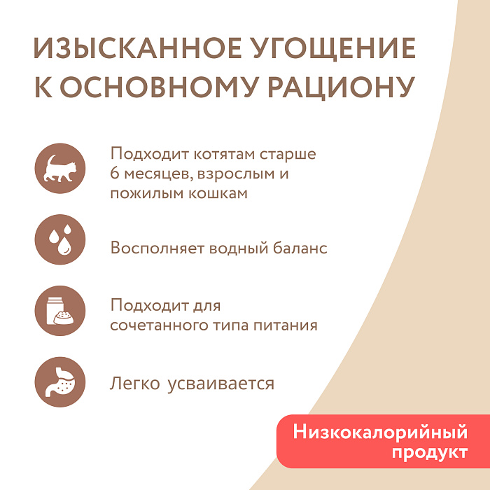 Влажный дополнительный корм Мнямс На каждый день для кошек и котят старше 6 месяцев "курица с лососем в нежном желе" 80 г
