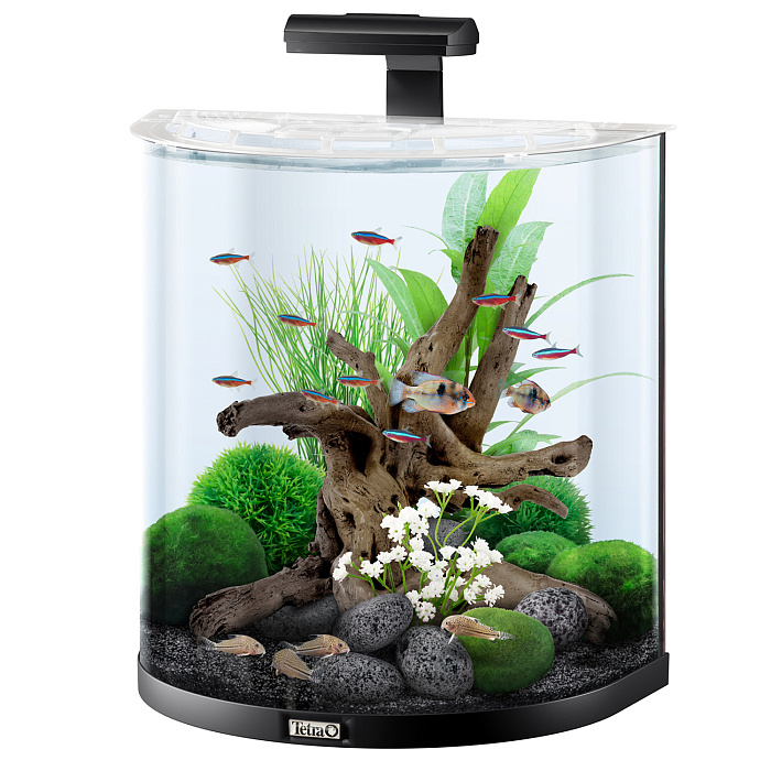 Tetra AquaArt Explorer Line LED 60 л - аквариумный комплекс "Полумесяц" СКИДКА 40%