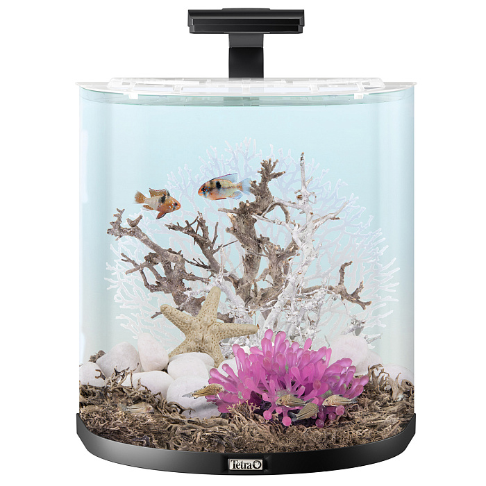 Tetra AquaArt Explorer Line LED 60 л - аквариумный комплекс "Полумесяц" СКИДКА 40%