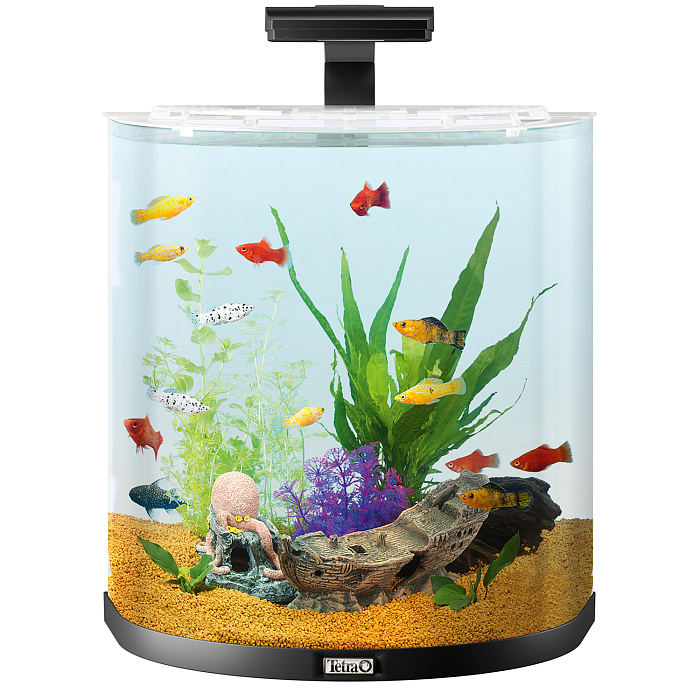 Tetra AquaArt Explorer Line LED 60 л - аквариумный комплекс "Полумесяц" СКИДКА 40%