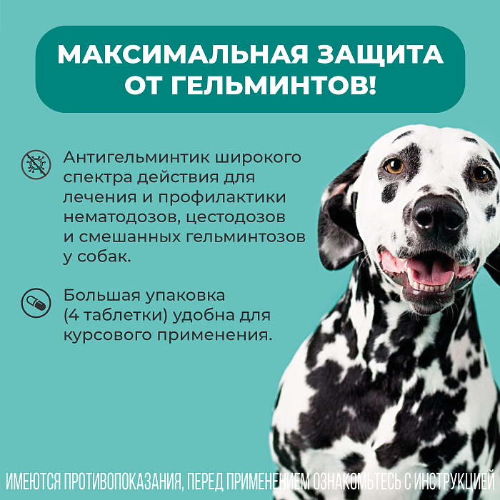 VIC Пинпрамиль® 12,5мг/125мг, для  крупных собак, коробка 4 табл.