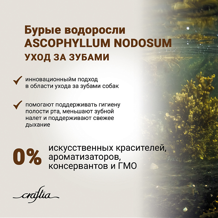 Сухой корм CRAFTIA NATURA для взрослых собак средних и крупных пород из ягненка с перепелкой 640 г