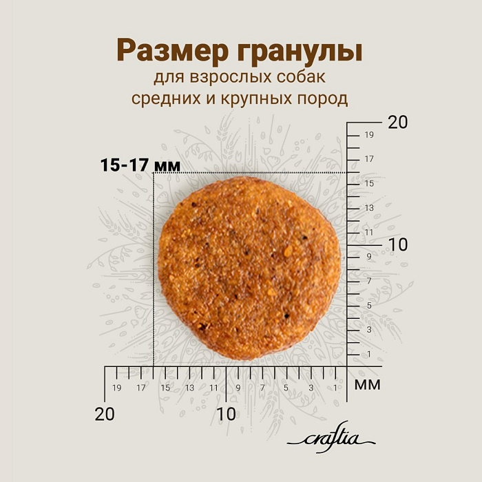 Сухой корм CRAFTIA NATURA для взрослых собак средних и крупных пород из курицы и индейки 640 г