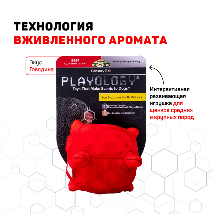 Сенсорный плюшевый мяч Playology PUPPY SENSORY BALL 11 см для щенков мелких и средних пород 8-16 недель с ароматом говядины, цвет красный СКИДКА 50%