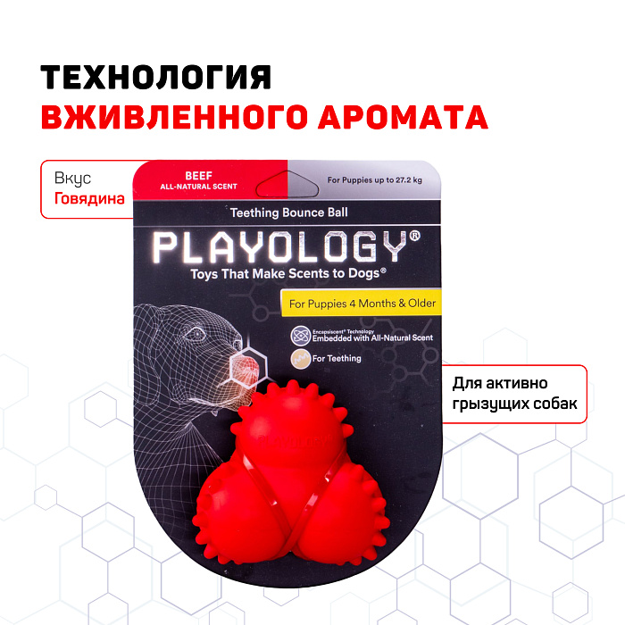 Playology дентальный жевательный тройной мяч SQUEAKY BOUNCE BALL для щенков 4-8 месяцев с ароматом говядины, цвет красный СКИДКА 50%
