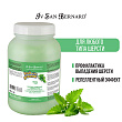 ISB Fruit of the Groomer Mint Восстанавливающая маска для любого типа шерсти с витамином В6 3 л ISB Fruit of the Groomer Mint Восстанавливающая маска для любого типа шерсти с витамином В6 3 л