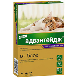 Bayer Адвантейдж 80 К для кошек больше 4 кг от блох (4 пипетки х 0,8 мл) Bayer Адвантейдж 80 К для кошек больше 4 кг от блох (4 пипетки х 0,8 мл)