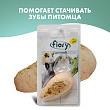FIORY био-камень для грызунов Carrosalt с солью в форме моркови 65 г FIORY био-камень для грызунов Carrosalt с солью в форме моркови 65 г