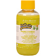 ISB Fruit of the Groomer Ginger&Elderbery Шампунь для любого типа шерсти против раздражений и перхоти 100 мл ISB Fruit of the Groomer Ginger&Elderbery Шампунь для любого типа шерсти против раздражений и перхоти 100 мл
