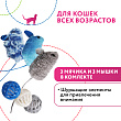 Игрушка Petpark для кошек Мышки и мячики с кошачьей мятой (6 шт в комплекте)