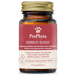 ProPhyto Энерджи Буст,100 таблеток ProPhyto Энерджи Буст,100 таблеток