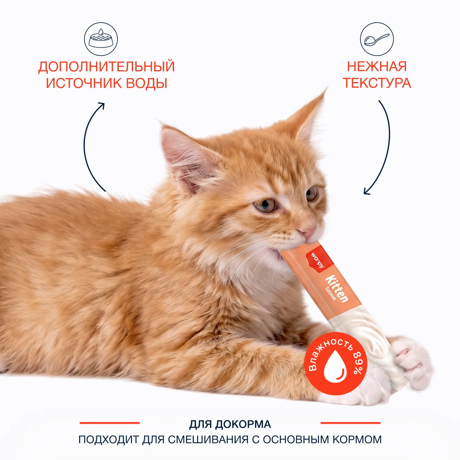 Wanpy Cat Лакомство для котят «нежное пюре» из лосося 70 г
