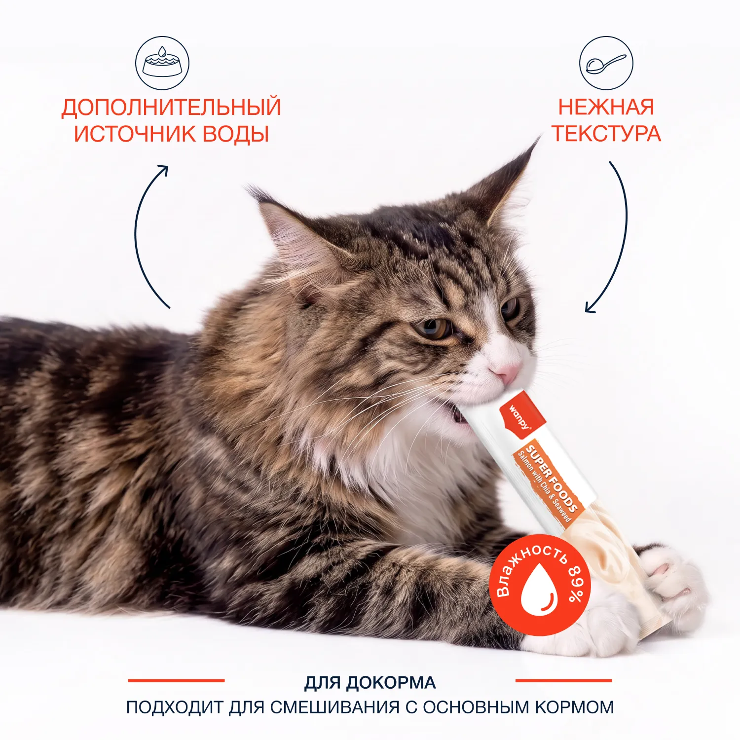 Wanpy Cat Лакомство для кошек «нежное пюре» из лосося с семенами чиа и водорослями 70 г