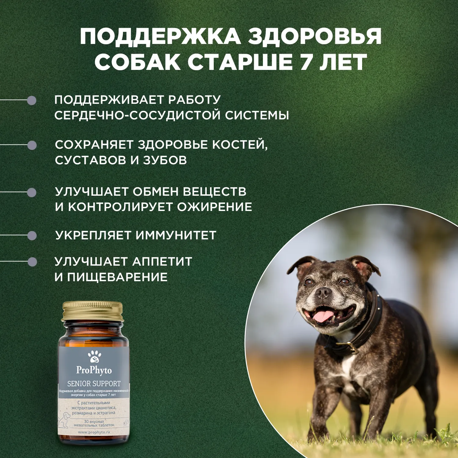 ProPhyto Сеньор Саппорт, 30 таблеток