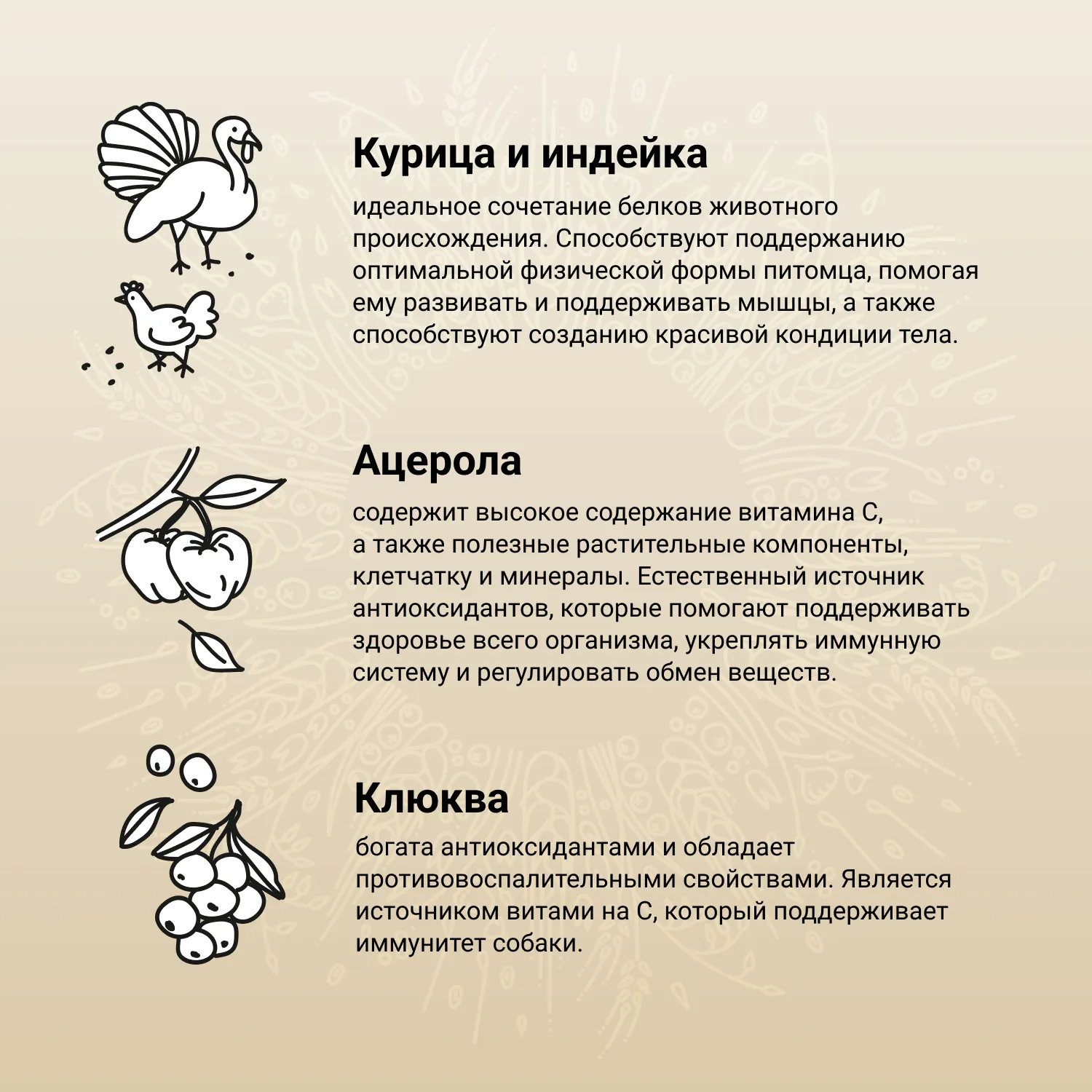Сухой корм CRAFTIA NATURA для щенков миниатюрных и мелких пород из курицы и индейки 2 кг