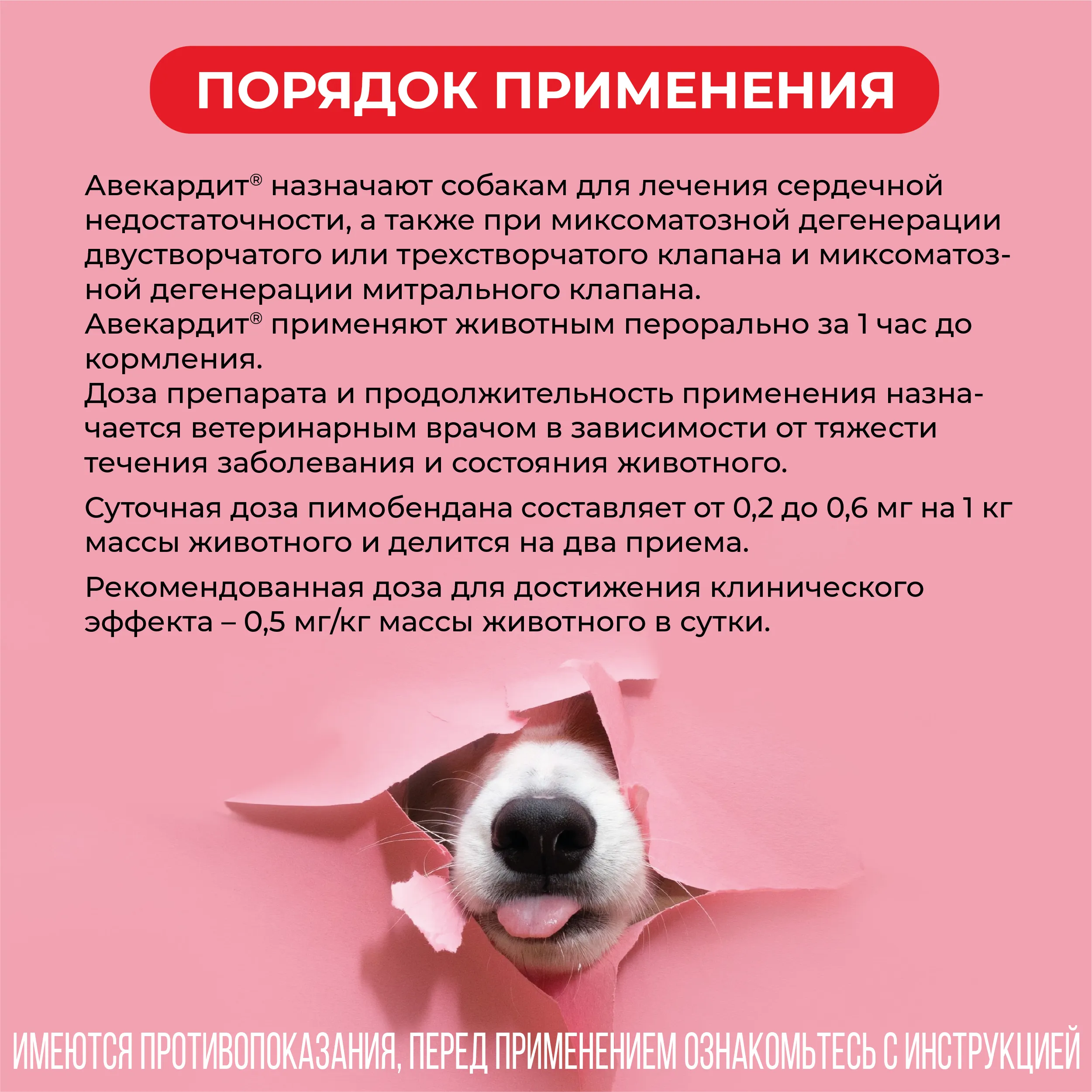 VIC Авекардит® 10 мг для собак, коробка 28 табл.