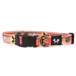 Ошейник United Pets для собак Complete me Forever M 34-56/2 см, оранжевый с рисунком