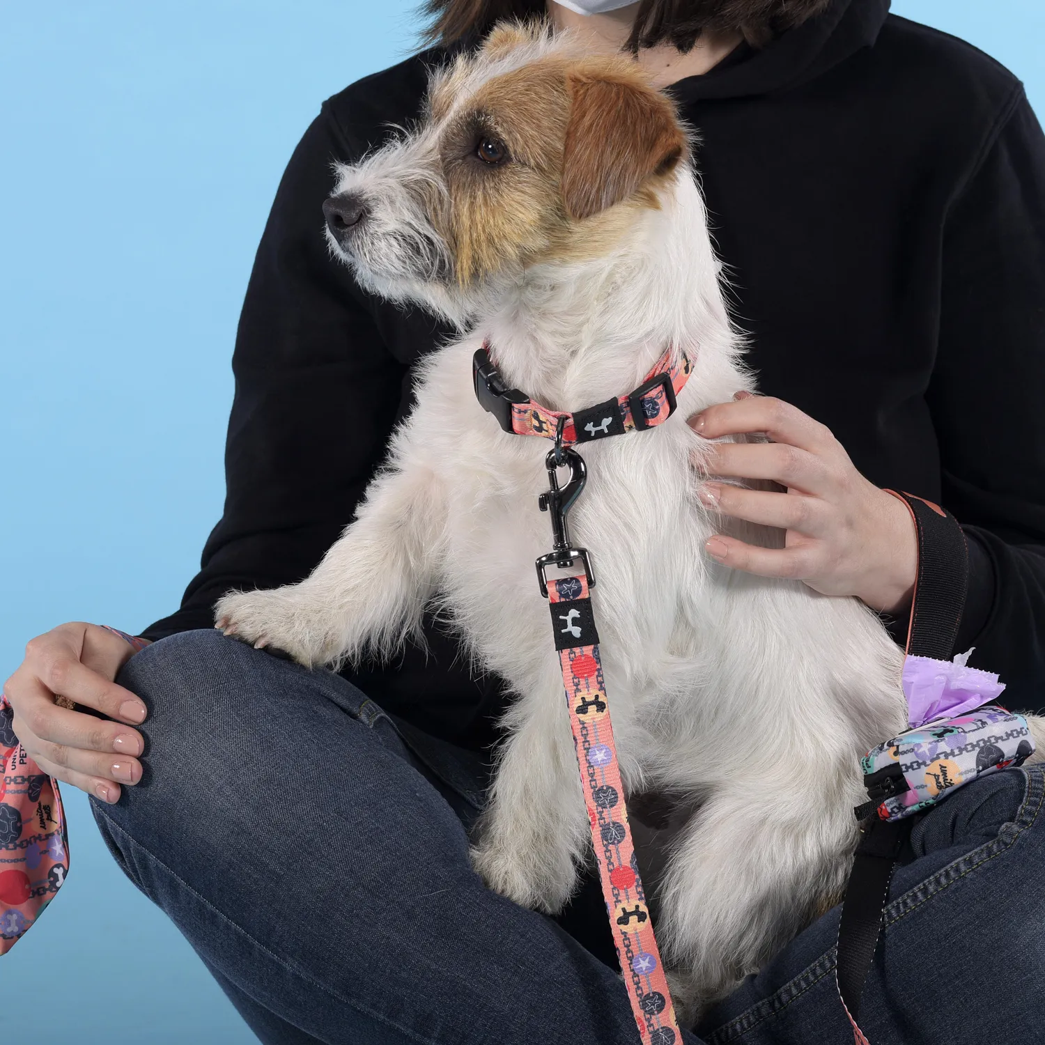 Ошейник United Pets для собак Complete me Forever S 26-40/1,6 см, оранжевый с рисунком СКИДКА 30%