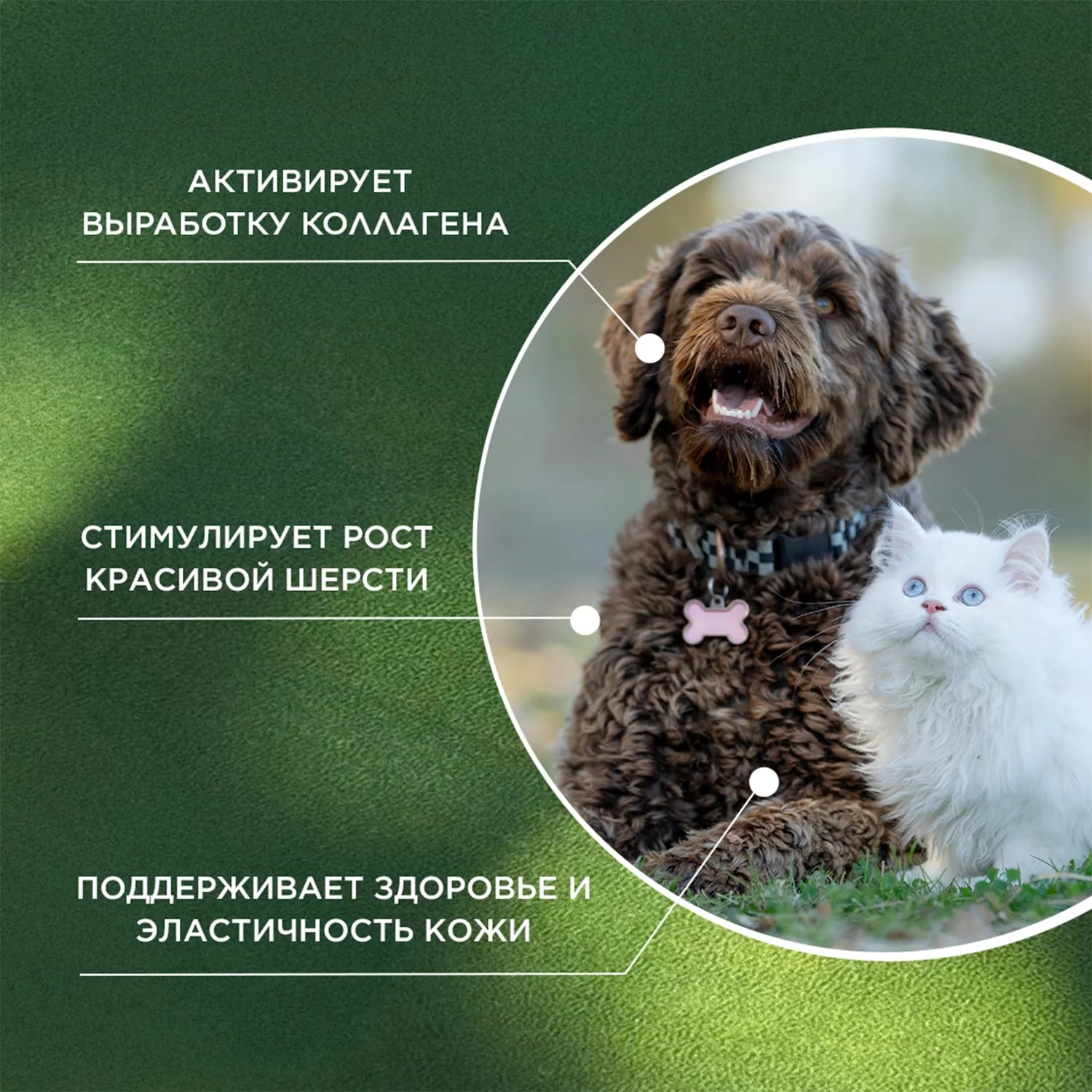 ProPhyto для Кожи и Шерсти, 30 таблеток