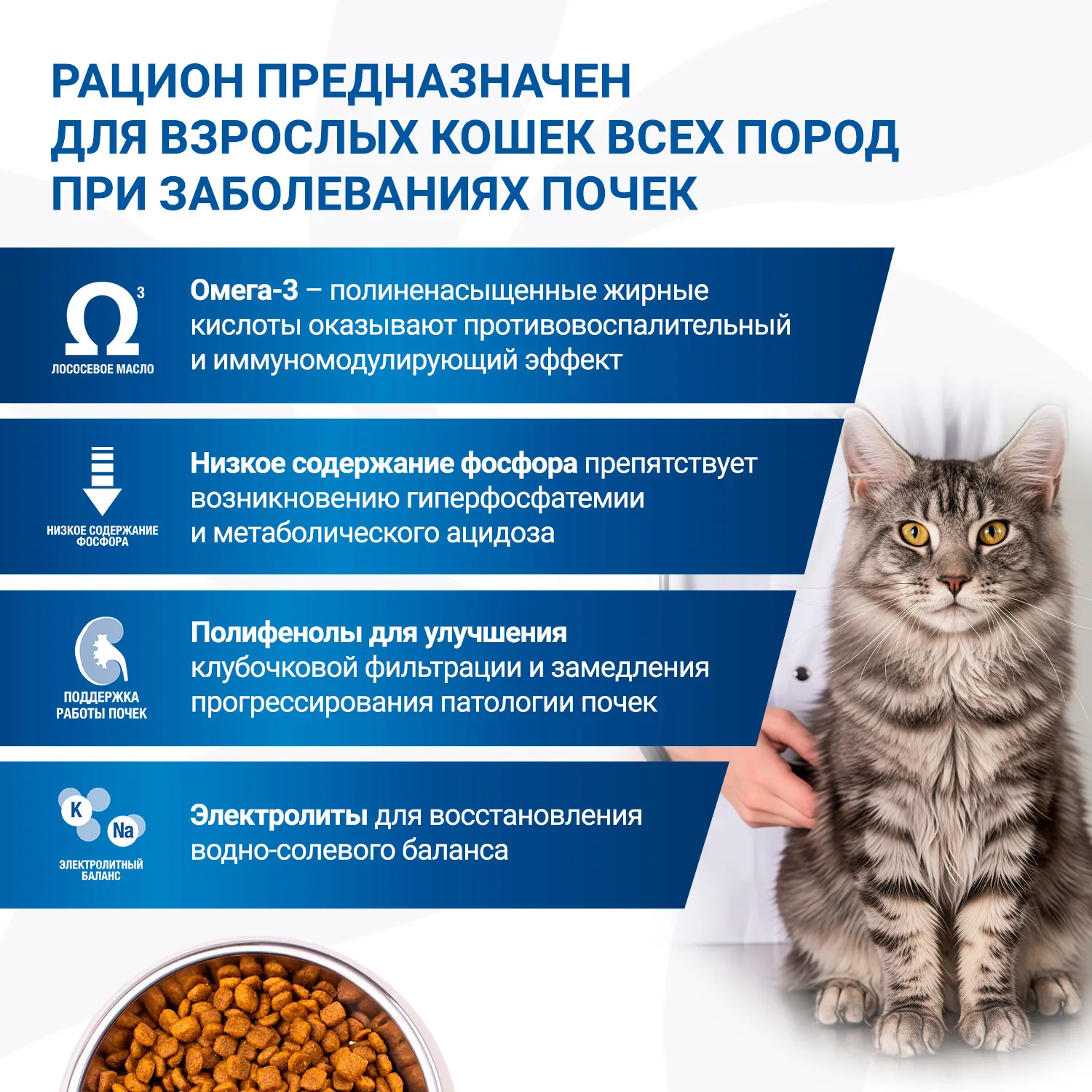 Диетический корм Monge VetSolution Cat Renal Ренал для кошек при ХПН 400 г