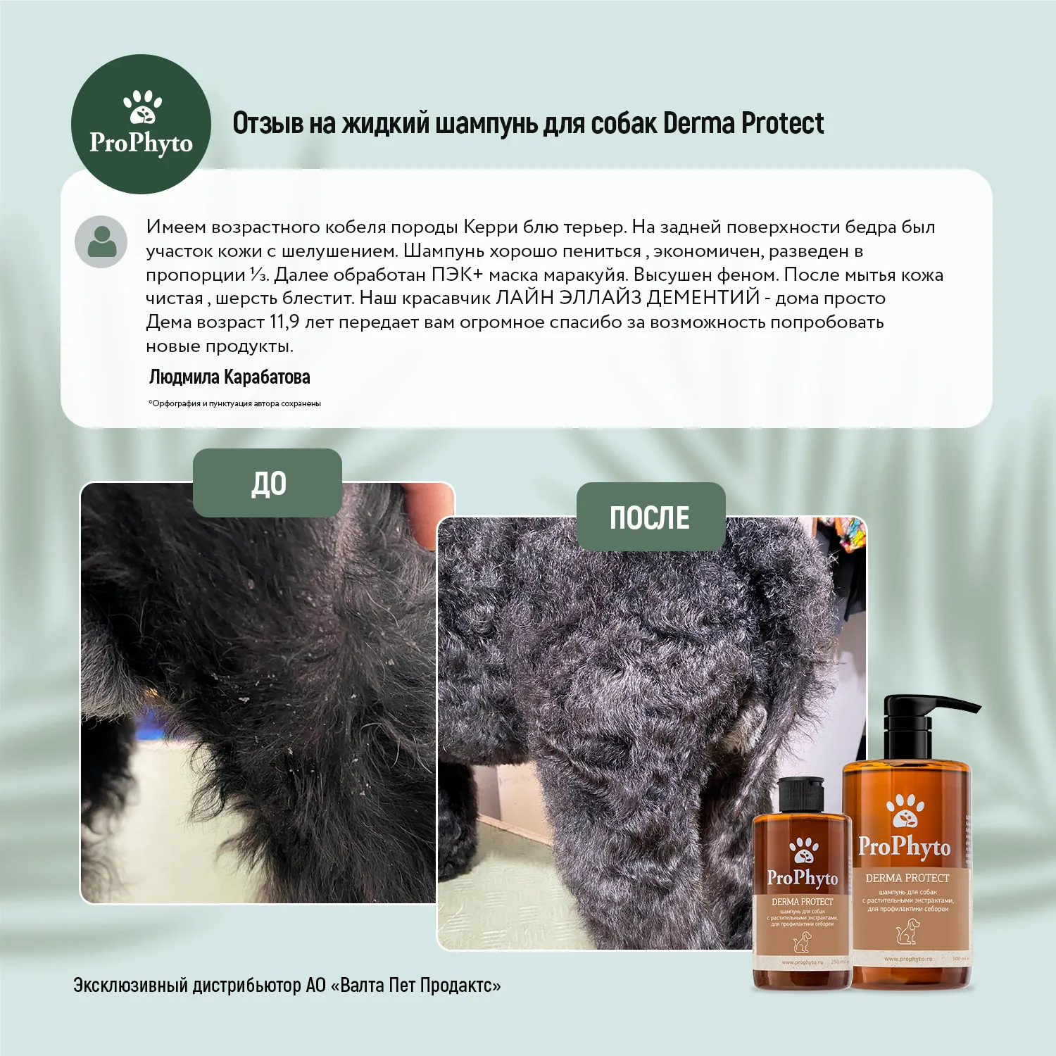 Жидкий шампунь ProPhyto DERMA PROTECT SHAMPOO для собак с растительными экстрактами против перхоти и себореи, 250 мл