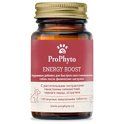 ProPhyto Энерджи Буст,100 таблеток ProPhyto Энерджи Буст,100 таблеток