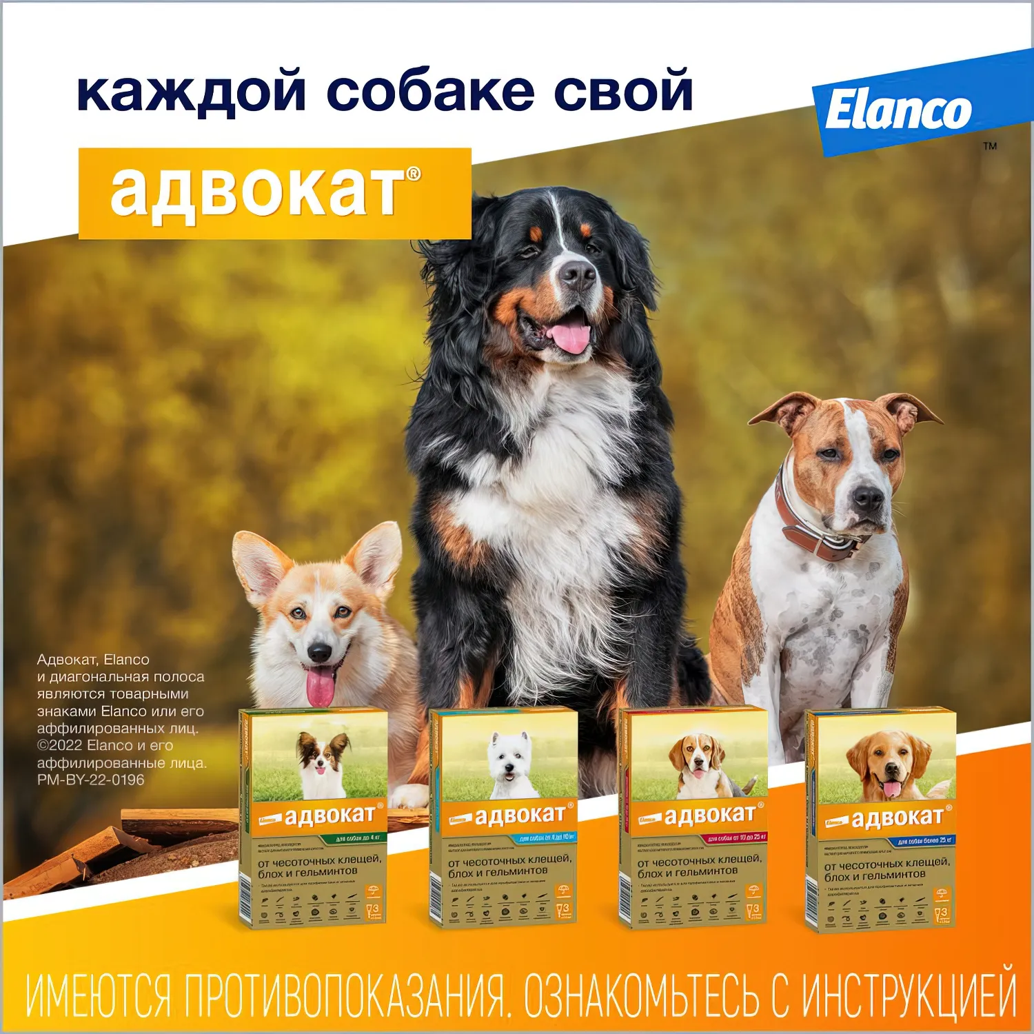 Bayer Адвокат 250 капли для собак 10-25 кг от чесоточных клещей, блох и гельминтов (3 пипетки х 2,5 мл)