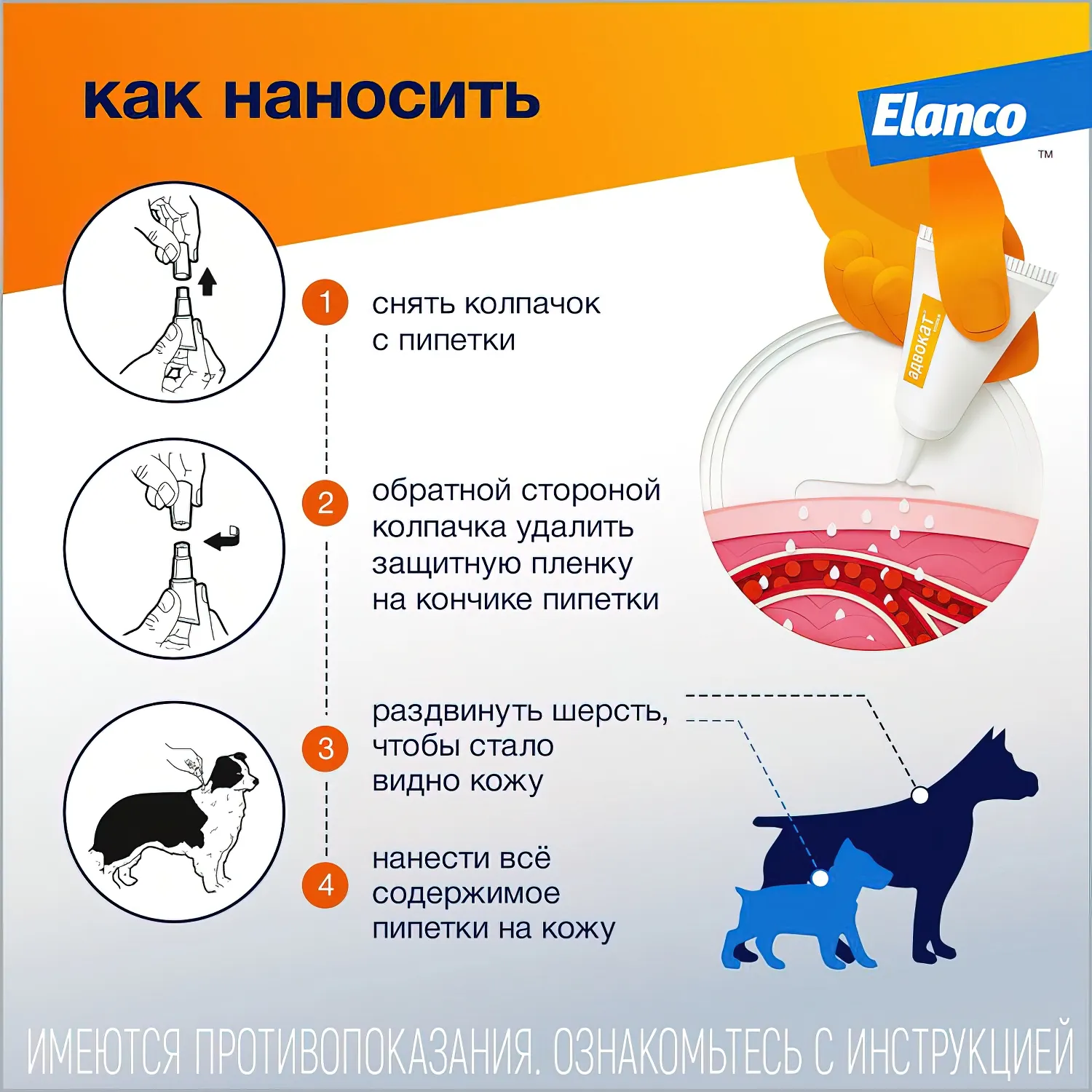 Bayer Адвокат 250 капли для собак 10-25 кг от чесоточных клещей, блох и гельминтов (3 пипетки х 2,5 мл)