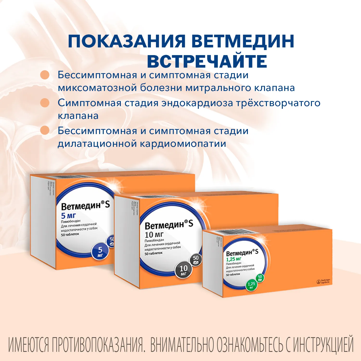 BI Ветмедин® S 1.25 мг – жевательные таблетки для лечения сердечной недостаточности у собак, 50 таб.