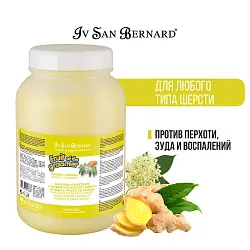 ISB Fruit of the Groomer Ginger&Elderbery Шампунь для любого типа шерсти против раздражений и перхоти 3,25 л ISB Fruit of the Groomer Ginger&Elderbery Шампунь для любого типа шерсти против раздражений и перхоти 3,25 л
