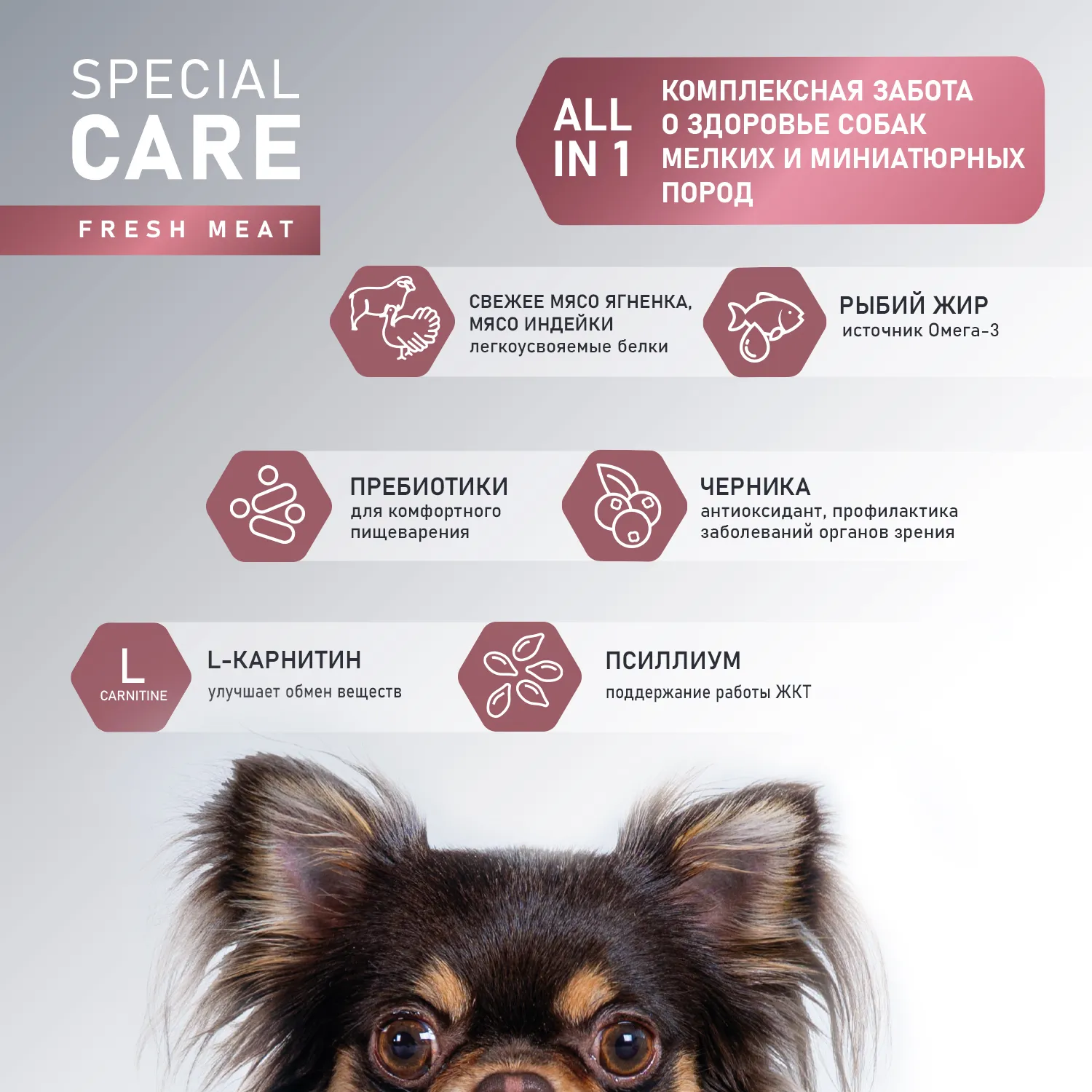 Сухой корм AWARD SPECIAL CARE Toy Breed Support для взрослых собак мелких и миниатюрных пород со свежим мясом ягненка 1,5кг