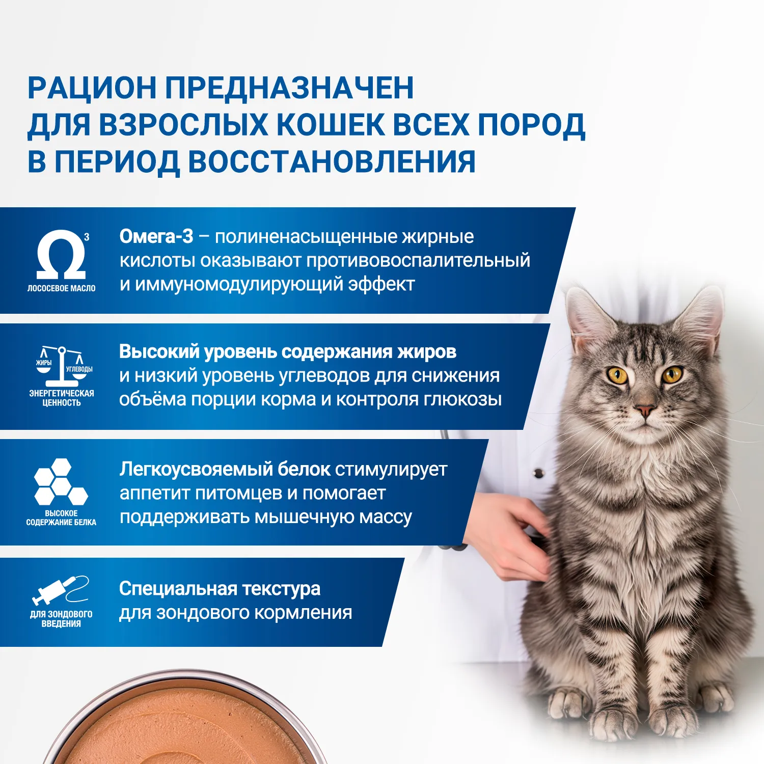 Диетический корм Monge VetSolution Cat Recovery Рекавери для кошек при восстановлении питания в период выздоровления 100 г