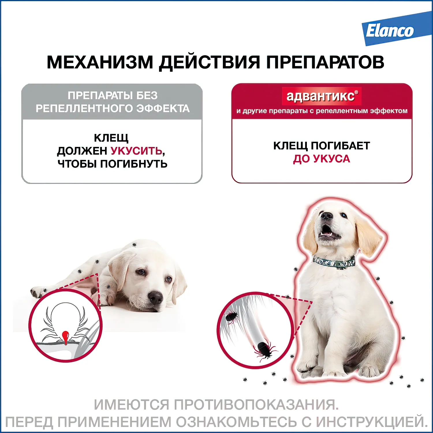 Bayer Адвантикс 250 С для собак 10-25 кг от блох, клещей и комаров (4 пипетки х 2,5 мл)