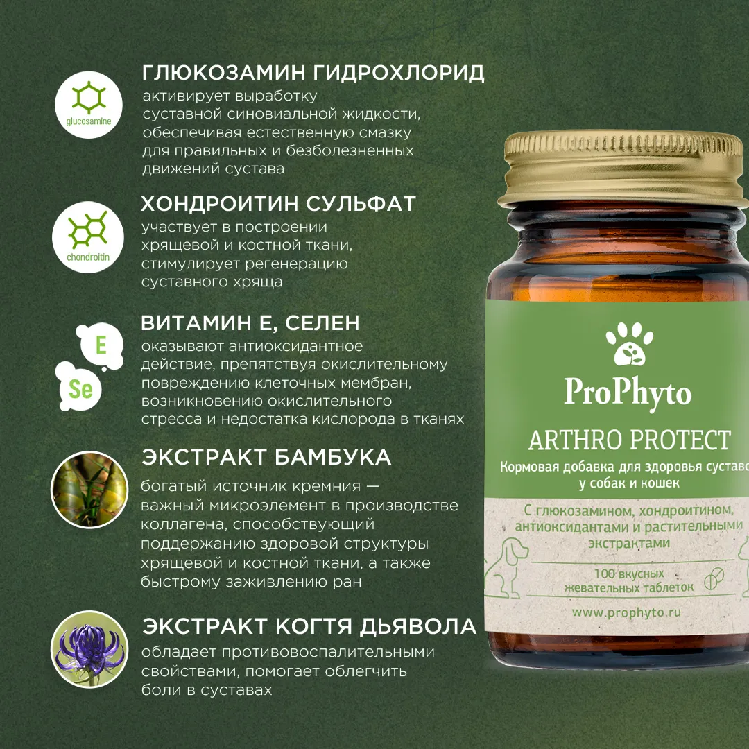 ProPhyto Артро Защита, 100 таблеток