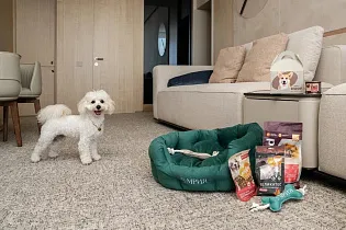 Путешествия, в которых счастливы все: продолжаем партнёрство с курортом «Мрия»