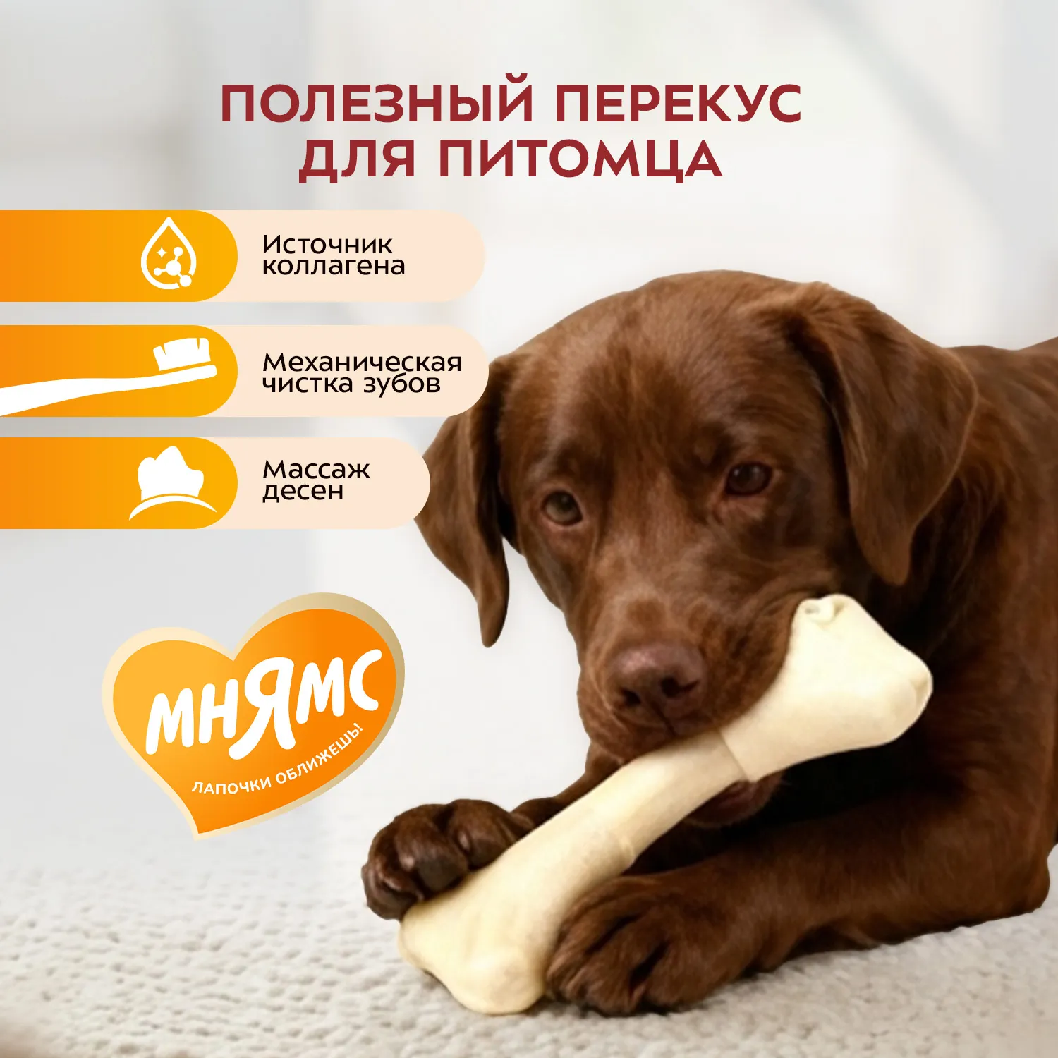 Лакомство Мнямс На каждый день для собак Косточка жевательная размер XXL 206 г