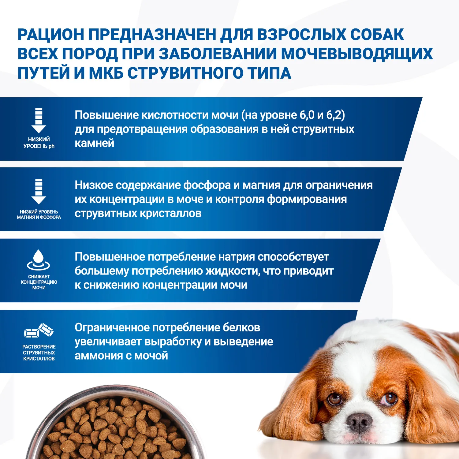 Диетический корм Monge VetSolution Dog Urinary Struvite Уринари Струвит для собак при заболеваниях мочеполовой системы и струвитном течении МКБ 2 кг
